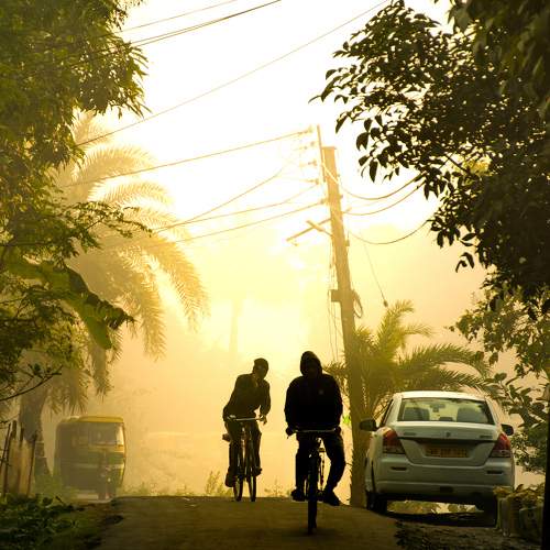 Photo #7363906