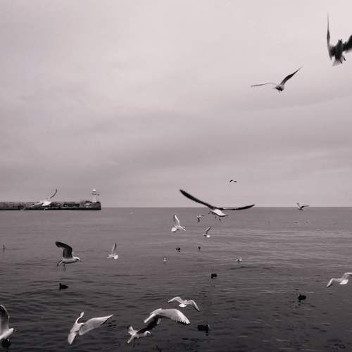 Photo #7364099