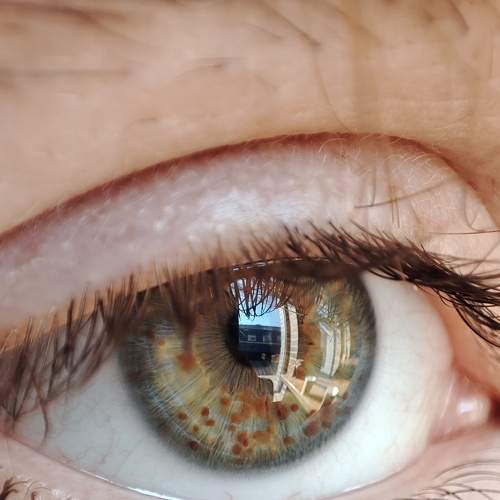 Photo #7364109