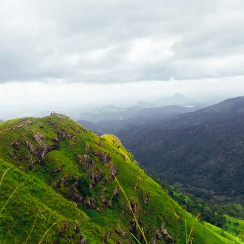 Photo #7364182