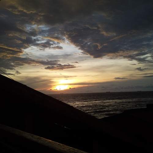 Photo #7364195