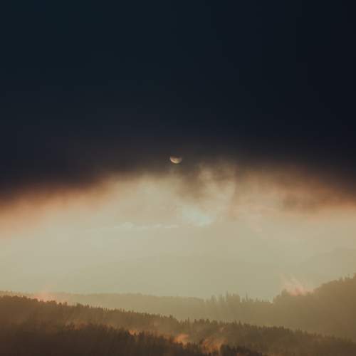 Photo #7364327