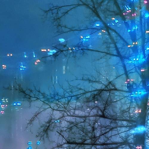 Photo #7364505