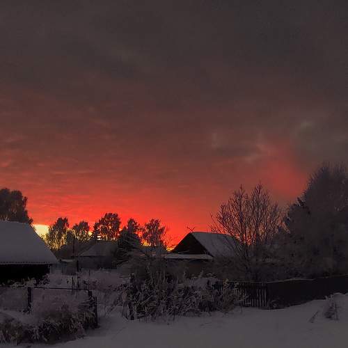 Photo #7364869