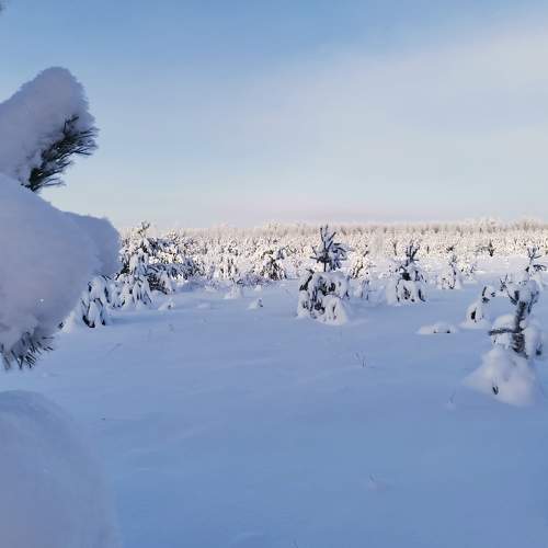 Photo #7364908