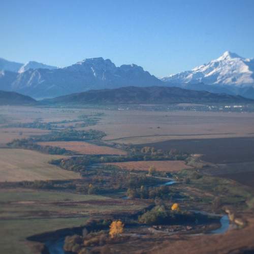 Photo #7364912
