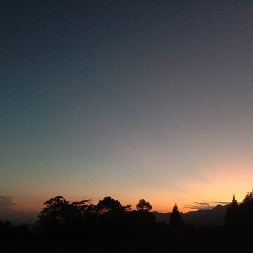 Photo #7364988