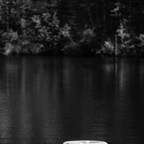 Photo #7364999