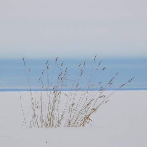 Photo #7365010