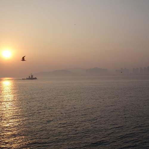 Photo #7365150