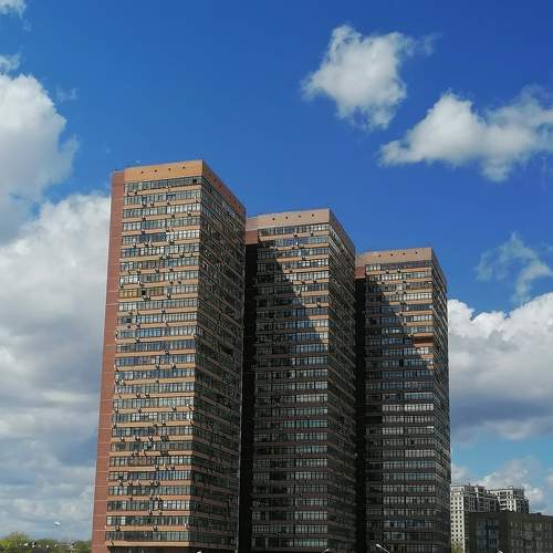 Photo #7365209