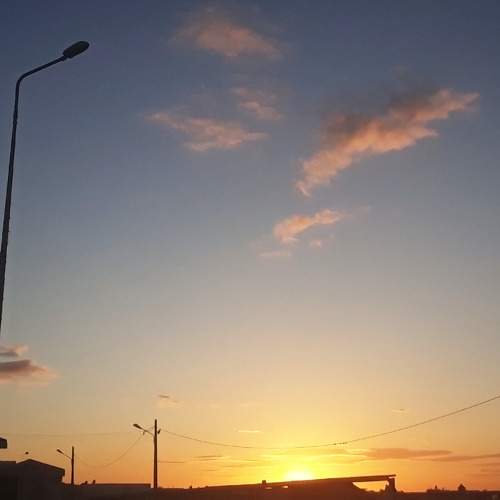 Photo #7365242