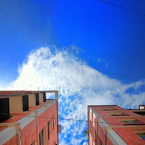 Photo #7365366