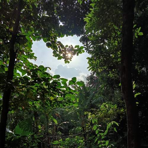 Photo #7365381