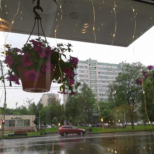 Photo #7365444