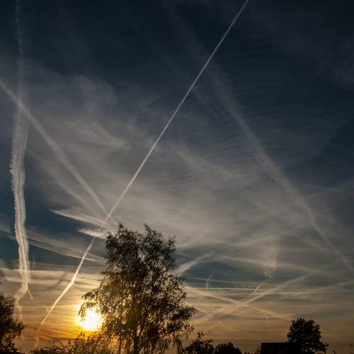 Photo #7365664