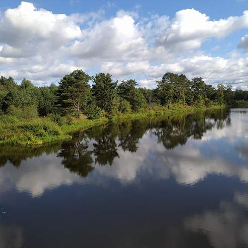 Photo #7365726