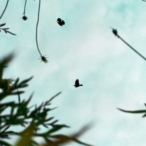 Photo #7366548
