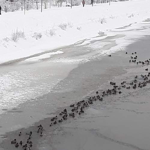 Photo #7366599