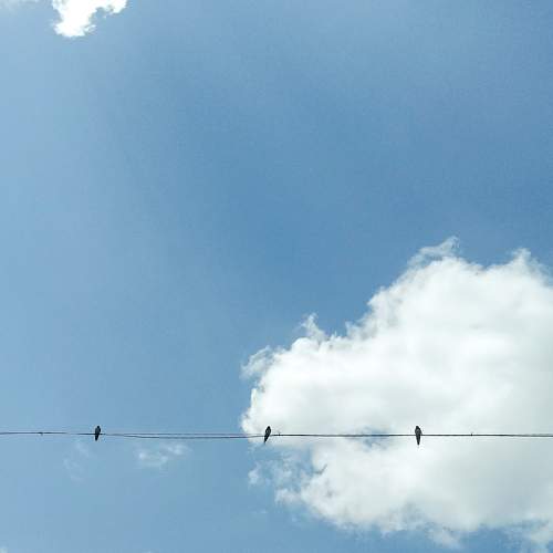 Photo #7366653