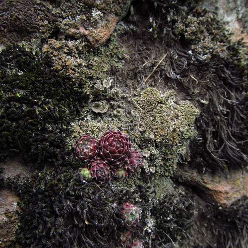 Photo #7366833