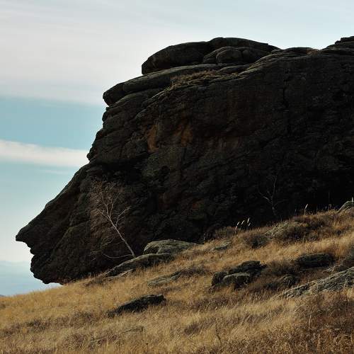 Photo #7366903