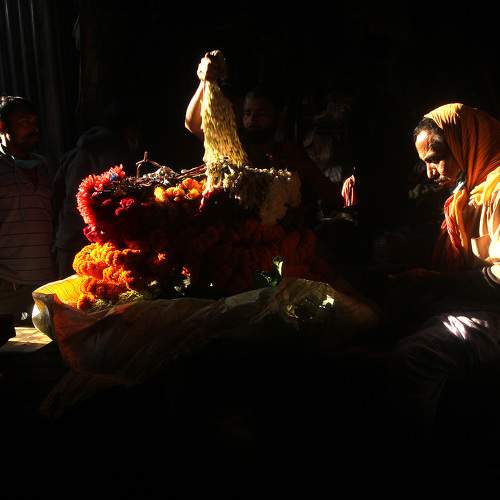 Photo #7366941