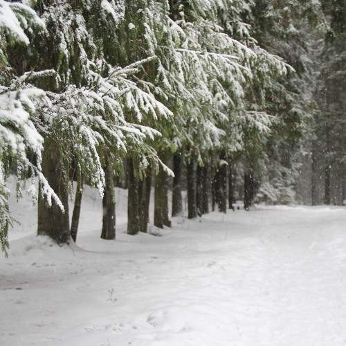 Photo #7367164