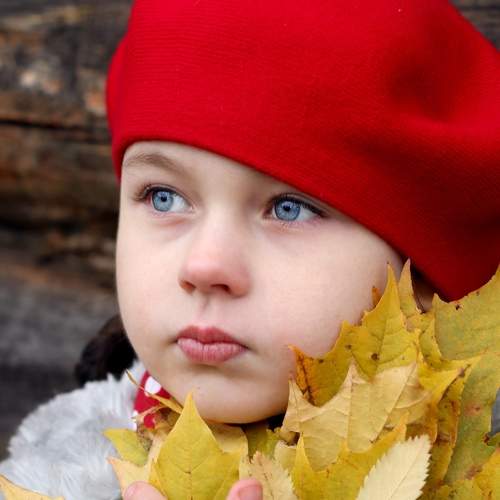 Photo #7367283