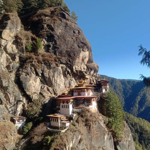 Photo #7367367