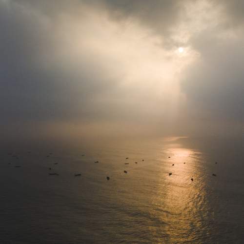 Photo #7367414