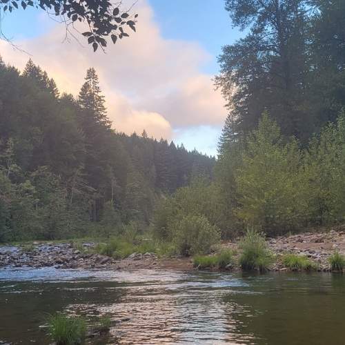 Photo #7367453