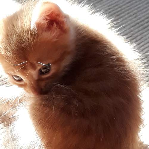 Photo #7367470