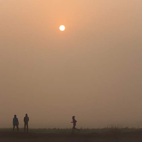 Photo #7368062