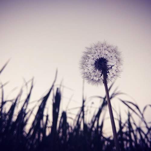 Photo #7368071