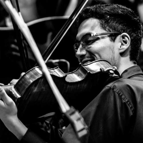 concert violin