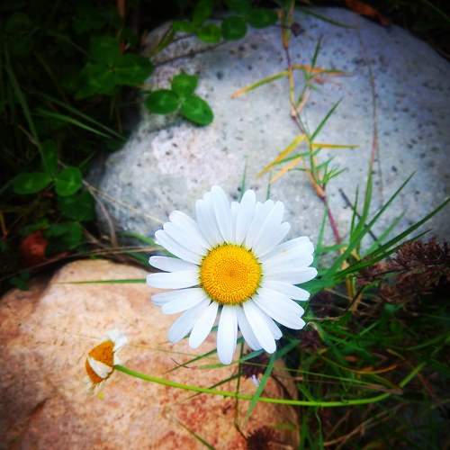 Photo #7368506