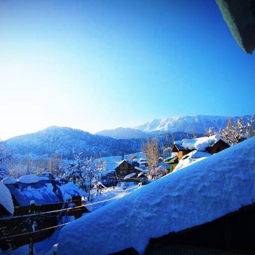 Photo #7368527