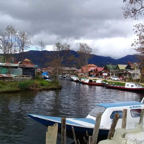 Photo #7368593