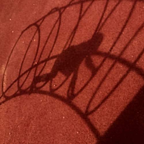 Photo #7368923