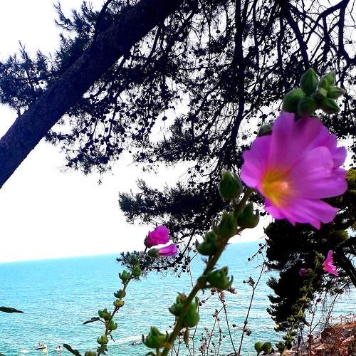 Photo #7368998