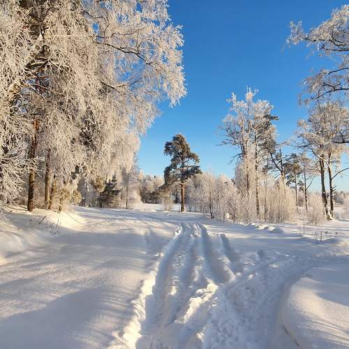 Photo #7369214