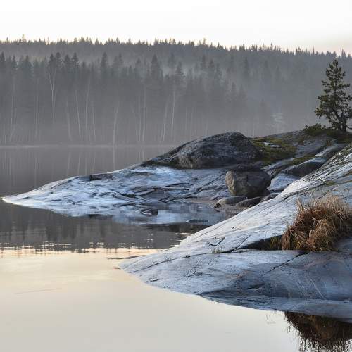 Photo #7369359