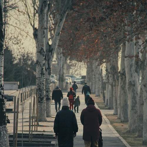 Photo #7369489