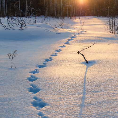 Photo #7369766