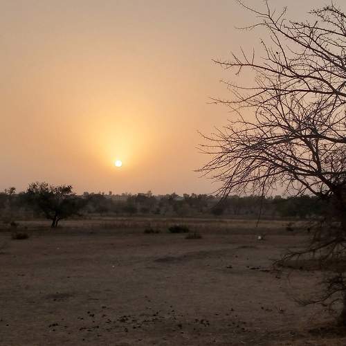 Photo #7369767