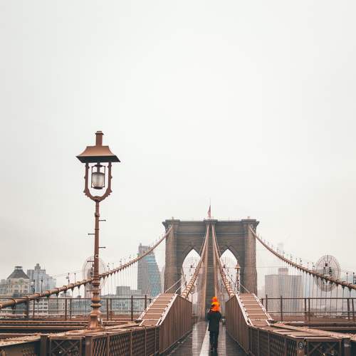 Photo #7369855
