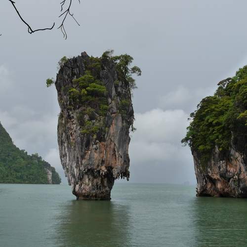 Photo #7369919
