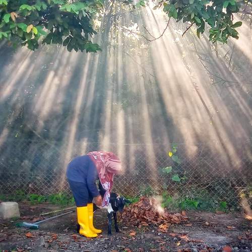 Photo #7370004