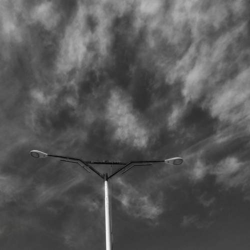 Photo #7370070